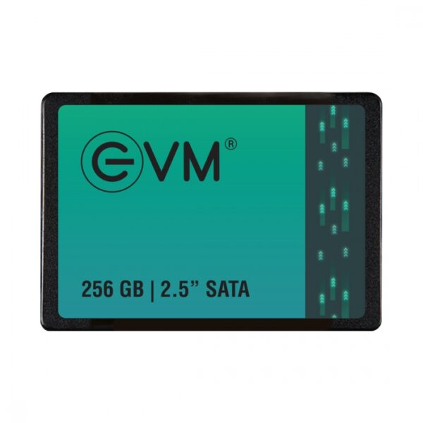 EVM SATA SSD
